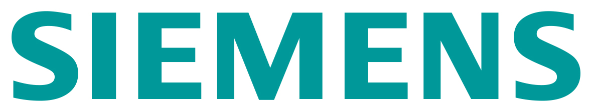 Sie Logo Petrol